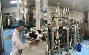 CÔNG TY TNHH SẢN XUẤT MỸ PHẨM NTK 7