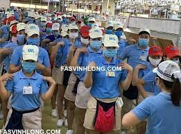 FAS - Furukawa Automotive Systems 9