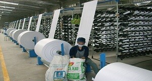 Sản Xuất Bao Bì Giấy Hải Đăng 6