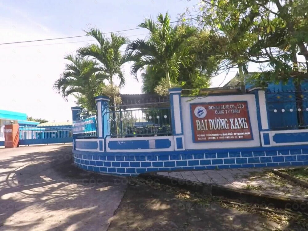 ĐẠI DƯƠNG XANH 12