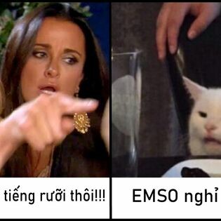 EMSO VIỆT NAM 3