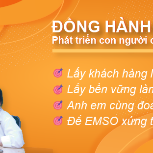 EMSO VIỆT NAM 8