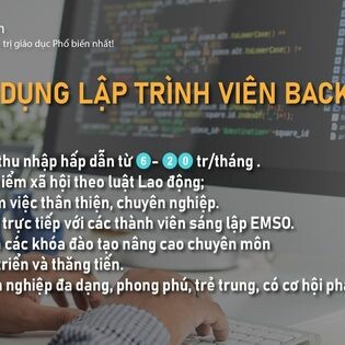 EMSO VIỆT NAM 7