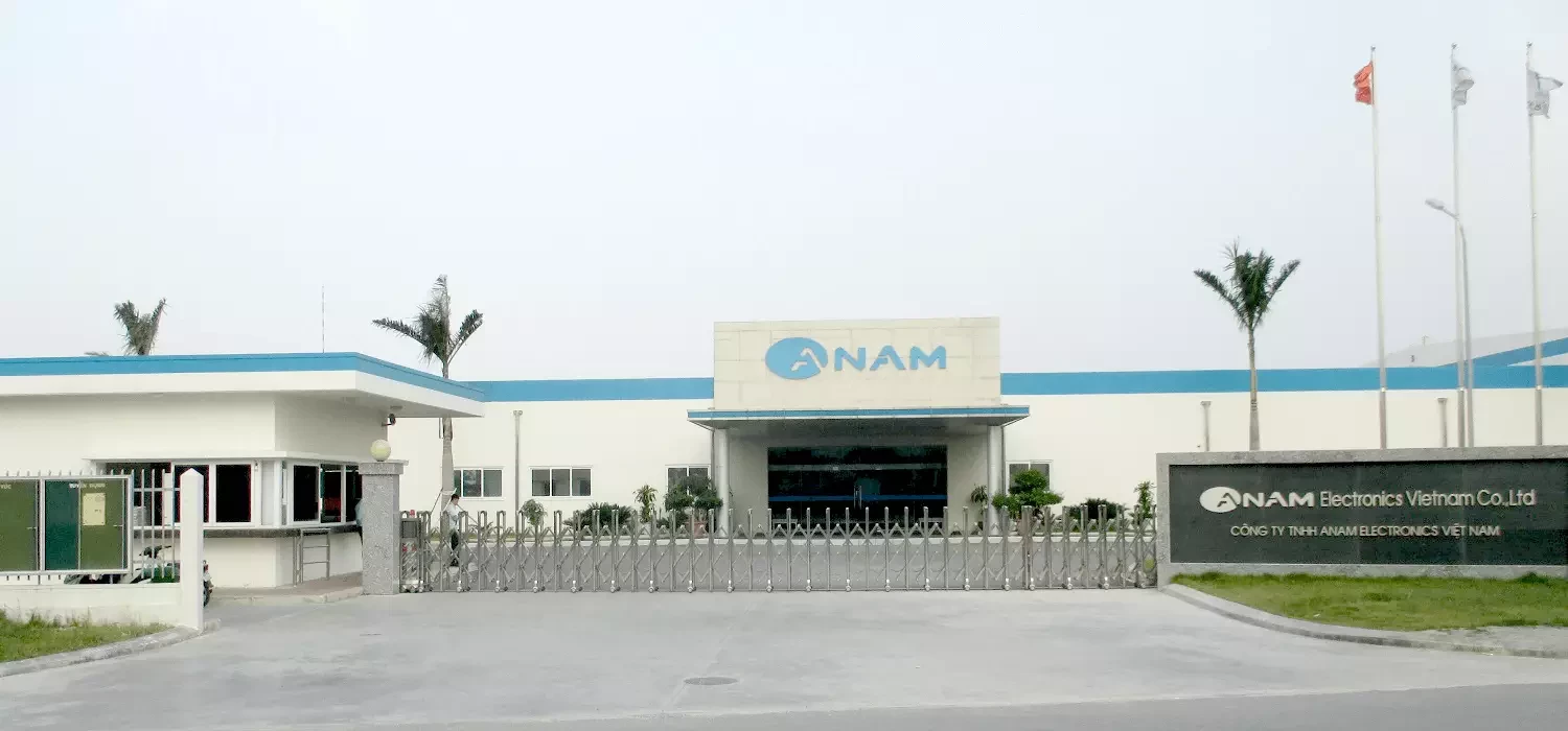 Anam Electronics 10