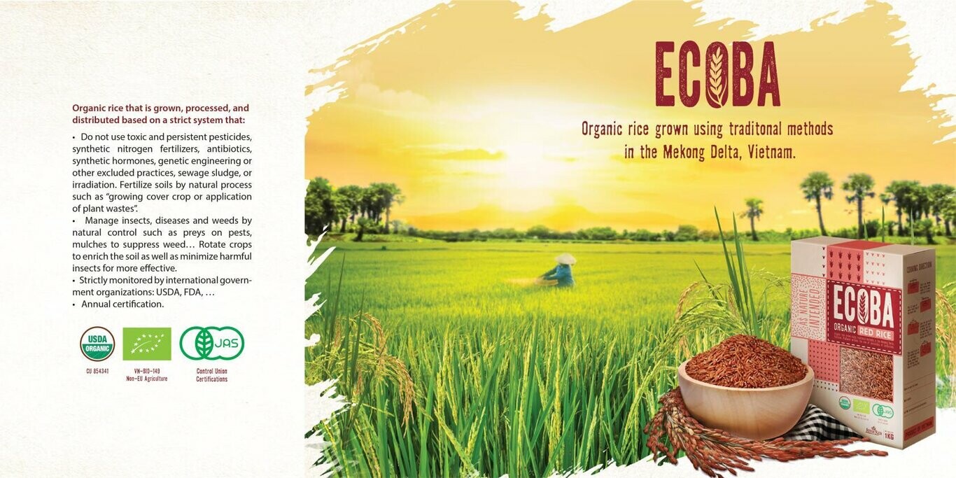 ĐẠI DƯƠNG XANH 6