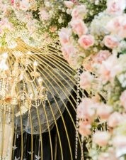 Behn Meyer Agricare 7