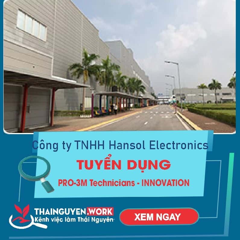 Hansol Electronics Vietnam 1