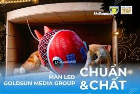 GOLDSUN FOCUS MEDIA 1