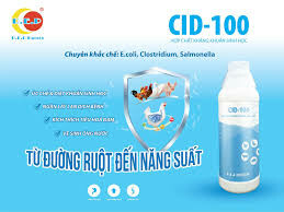 CÔNG NGHỆ SINH HỌC R.E.P 1