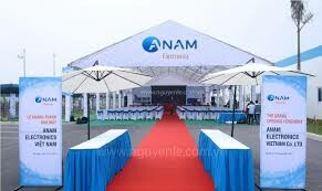 Anam Electronics 1