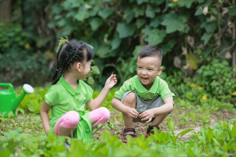 HỆ THỐNG GIÁO DỤC BAN MAI 5