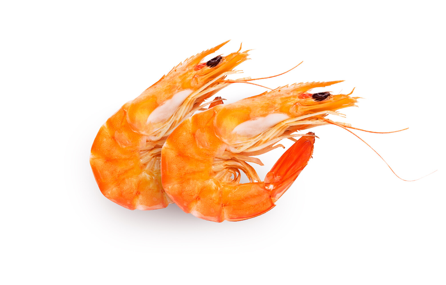 Ẩm thực Bình An 5