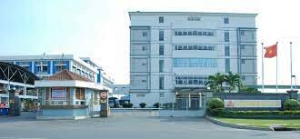 Vision International 9