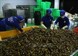 Chế biến thực phẩm GOC 9