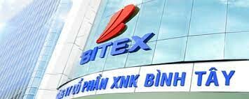 BITEX 8