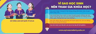 A PLUS VIỆT NAM 6