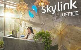 Skylink Group 6