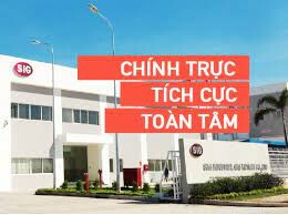 Bao Bì TRANG TÍN 11