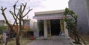 Tường Việt Phát 6