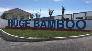 CÔNG TY HUGE BAMBOO 10