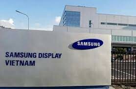 Samsung Display Việt Nam 10
