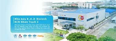 CÔNG NGHỆ SINH HỌC R.E.P 6