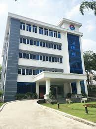 CÔNG TY HUGE BAMBOO 8