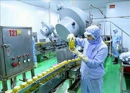 Chế biến thực phẩm GOC 8