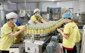 Dừa Bến Tre(Beinco) 3