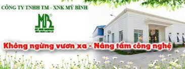 XUẤT NHẬP KHẨU MỸ BÌNH 2