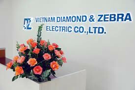 Diamond & Zebra Electric 6