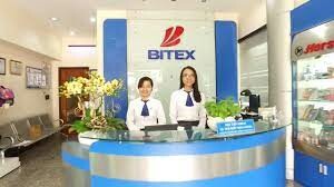 BITEX 5