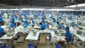 Công ty May Oasis 2