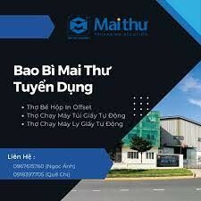 Mai Thư Packaging 5