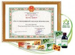 Dược Phẩm Ngọc Việt 1