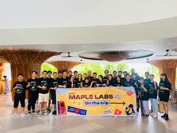 MAPLE LABS 3