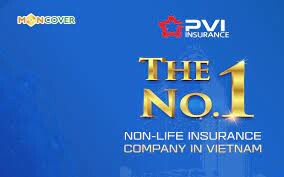 Quản lý Quỹ PVI 1