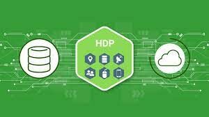 HDP TECHNOLOGY VIETNAM J.S.C 6