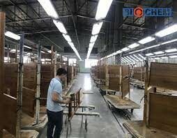 Sinh Hóa Quốc Tế 1