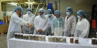 CHẾ BIẾN GIA VỊ NEDSPICE 5