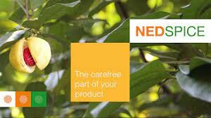 CHẾ BIẾN GIA VỊ NEDSPICE 1