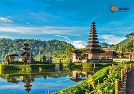 Vận Tải Du Lịch Dịch Vụ Thương Mại Phú Thịnh 1