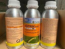 Thế Giới Sơn Mài 8