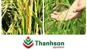 Thương mại và Dịch vụ Hiệp Phan 3