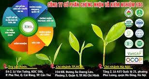 DƯỢC PHẨM VSHINE 8