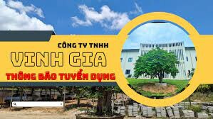 Công ty cổ phần TLK (T.L.K) 8