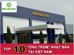 Tohoku Pioneer Vietnam 10