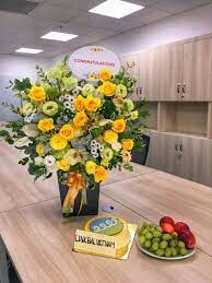 LINKBAL VIỆT NAM 2