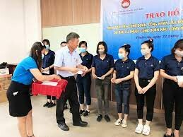 Vision International 7