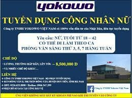Yokowo Việt Nam 6